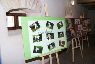 Galeria Wystawa uczniów w spichlerzu